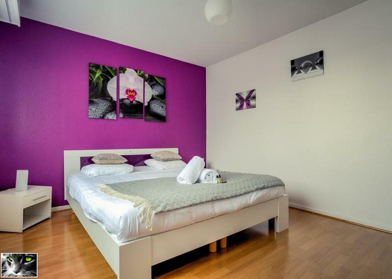 Appartement Spacieux Schiltigheim Exterior foto