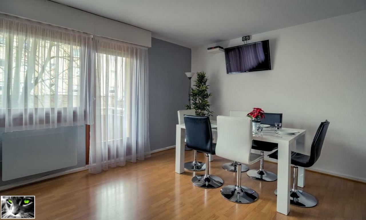 Appartement Spacieux Schiltigheim Exterior foto